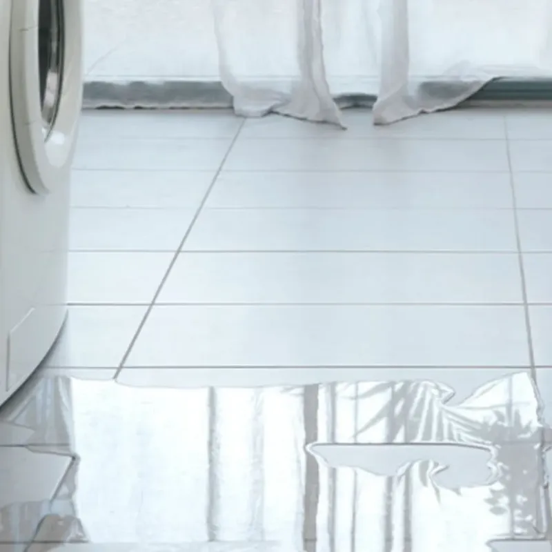 Appliance Leak Cleanup in Memphis, FL
