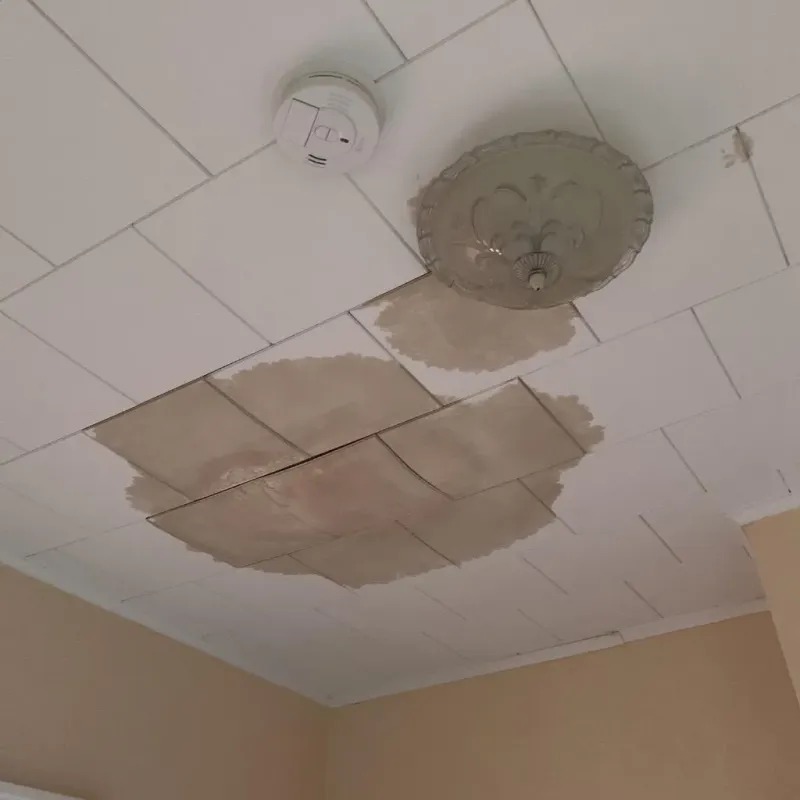 Ceiling Water Damage Repair in Memphis, FL